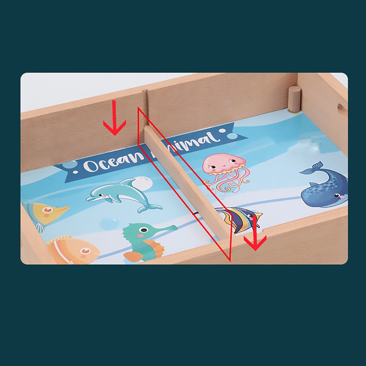 Juego de Pesca Milagrosa Magnetica